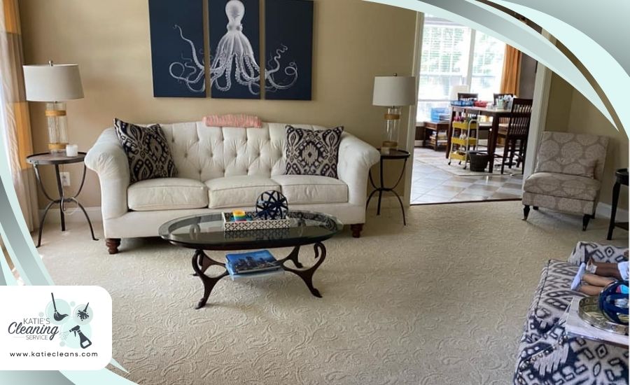 Best Manassas Cleaning Service | Living Room Cleaning